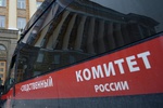 В Тверской области 10-летняя девочка получила травму головы, упав с лошади на занятиях в конном клубе